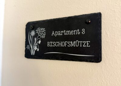 BVH Unterdürmoos Chalet-Apartment 3 " Bischofsmütze"