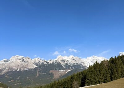 BVH Unterdürmoos Chalet-Apartment 3 " Bischofsmütze"