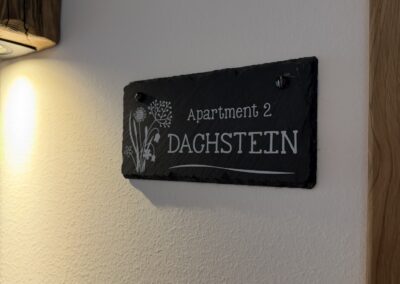 BVH Unterdürmoos Chalet-Apartment 2 "Dachstein"